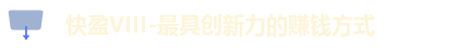 快盈VIII